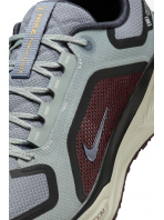 Buty Nike Pegasus 41 GORE-TEX -  FQ1356-003