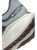 Buty Nike Pegasus 41 GORE-TEX -  FQ1356-003