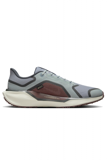 Buty Nike Pegasus 41 GORE-TEX -  FQ1356-003